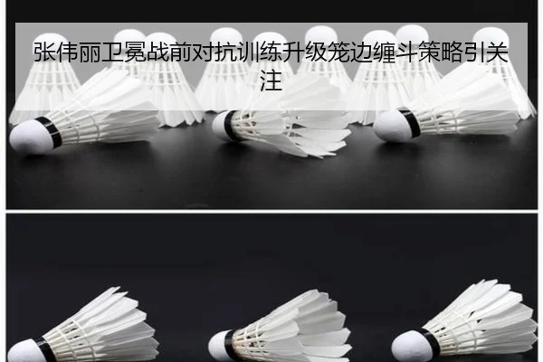 张伟丽卫冕战前对抗训练升级笼边缠斗策略引关注 | KYSPORTS